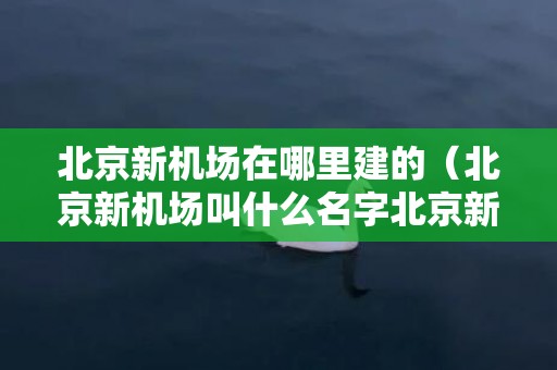 北京新机场在哪里建的（北京新机场叫什么名字北京新机场在哪里?）