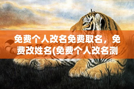 免费个人改名免费取名，免费改姓名(免费个人改名测算)