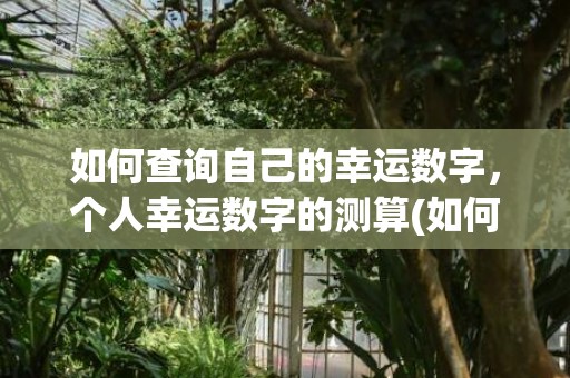 如何查询自己的幸运数字，个人幸运数字的测算(如何查询自己的幸运色)