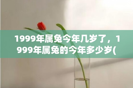1999年属兔今年几岁了，1999年属兔的今年多少岁(1999年属兔今年考研运势)