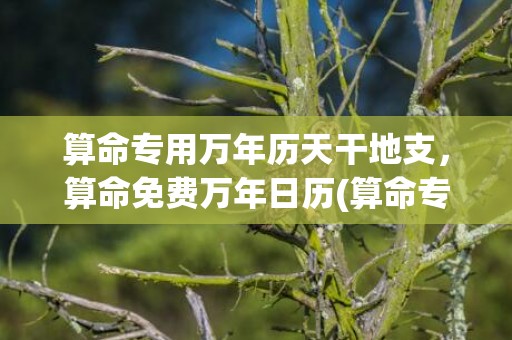 算命专用万年历天干地支，算命免费万年日历(算命专用万年历电子版)