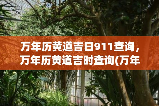 万年历黄道吉日911查询，万年历黄道吉时查询(万年历黄道吉日911查询老黄历)