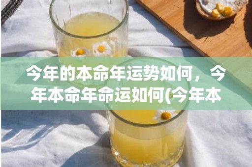 今年的本命年运势如何，今年本命年命运如何(今年本命年属兔的运势如何)