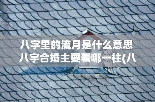 八字里的流月是什么意思 八字合婚主要看哪一柱(八字里的流月是什么意思)