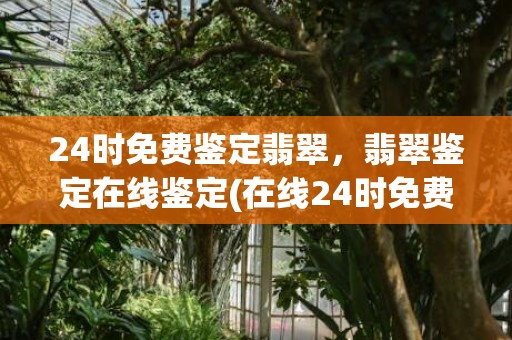 24时免费鉴定翡翠，翡翠鉴定在线鉴定(在线24时免费鉴定玉)