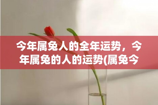 今年属兔人的全年运势，今年属兔的人的运势(属兔今年会离婚吗)