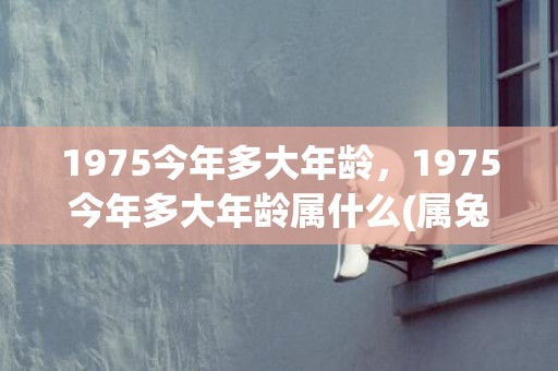 1975今年多大年龄，1975今年多大年龄属什么(属兔1975今年多大)