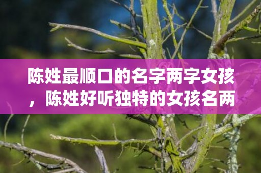 陈姓最顺口的名字两字女孩，陈姓好听独特的女孩名两个字(陈姓最顺口的名字两字女孩)