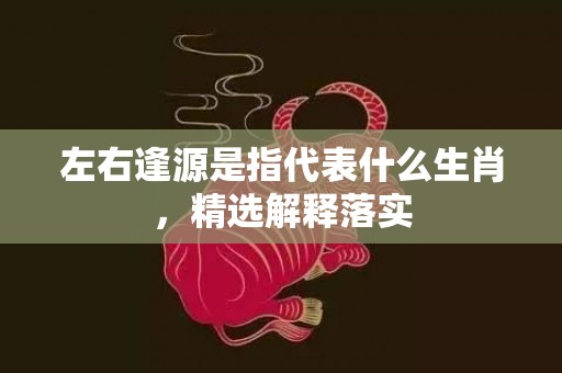 左右逢源是指代表什么生肖，精选解释落实