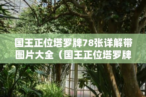 国王正位塔罗牌78张详解带图片大全（国王正位塔罗牌78张详解带图）