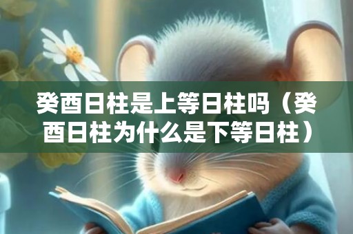 癸酉日柱是上等日柱吗（癸酉日柱为什么是下等日柱）