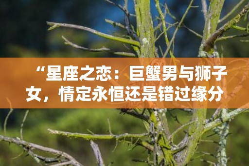“星座之恋：巨蟹男与狮子女，情定永恒还是错过缘分？”