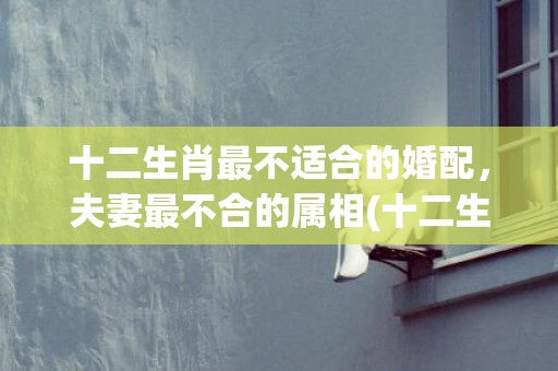 十二生肖最不适合的婚配，夫妻最不合的属相(十二生肖不适合养什么宠物)