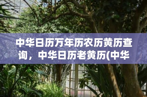 中华日历万年历农历黄历查询，中华日历老黄历(中华日历万年历农历黄历时间表)