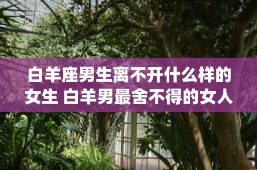 白羊座男生离不开什么样的女生 白羊男最舍不得的女人(白羊座男生性格特点分析(超准))