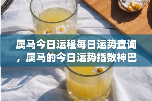 属马今日运程每日运势查询，属马的今日运势指数神巴巴(马今日运程每日运势)