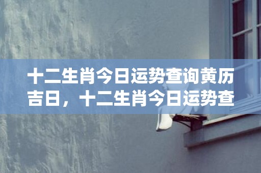 十二生肖今日运势查询黄历吉日，十二生肖今日运势查询卜易(十二生肖今日运势查询水墨先生)