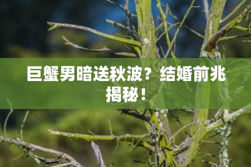 巨蟹男暗送秋波？结婚前兆揭秘！