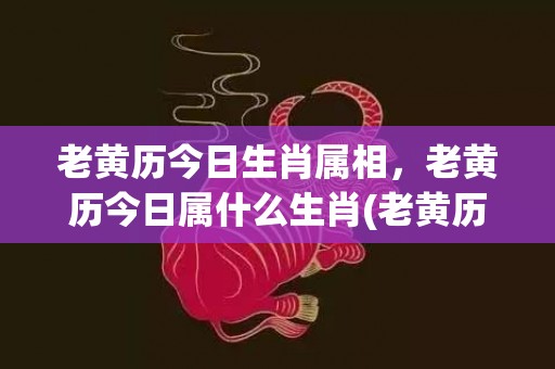 老黄历今日生肖属相，老黄历今日属什么生肖(老黄历今日生肖是什么意思)