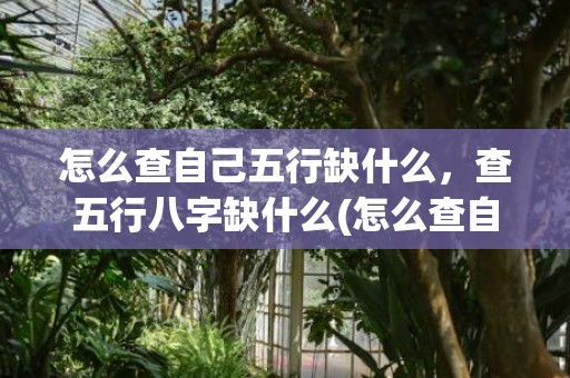 怎么查自己五行缺什么，查五行八字缺什么(怎么查自己五行缺什么在线)