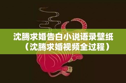 沈腾求婚告白小说语录壁纸（沈腾求婚视频全过程）