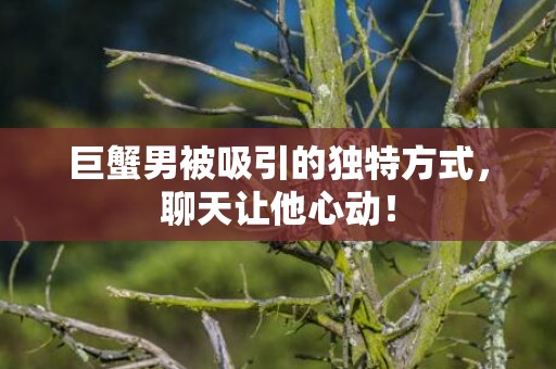 巨蟹男被吸引的独特方式，聊天让他心动！