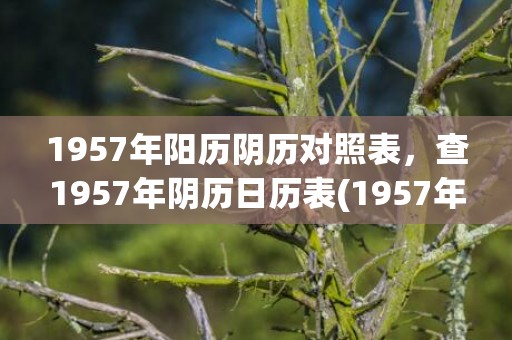 1957年阳历阴历对照表，查1957年阴历日历表(1957年阳历阴历对照表)