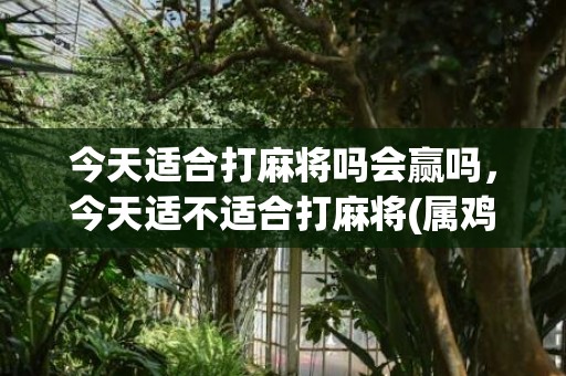 今天适合打麻将吗会赢吗，今天适不适合打麻将(属鸡的今天适合打麻将吗)