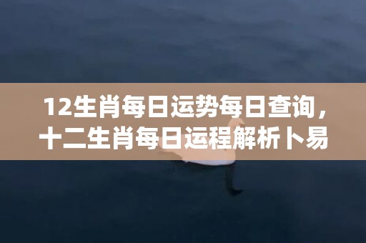 12生肖每日运势每日查询，十二生肖每日运程解析卜易(12生肖每日运势天天看2021)