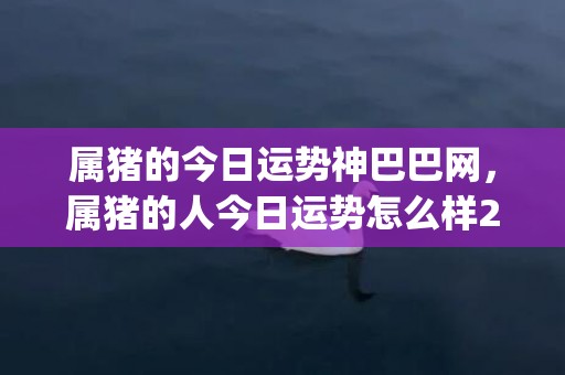 属猪的今日运势神巴巴网，属猪的人今日运势怎么样2021(属猪人今日运势和财运)