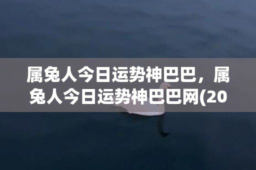 属兔人今日运势神巴巴，属兔人今日运势神巴巴网(2023属兔的人的全年运势)