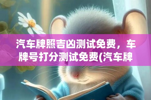 汽车牌照吉凶测试免费，车牌号打分测试免费(汽车牌照吉凶测试免费)