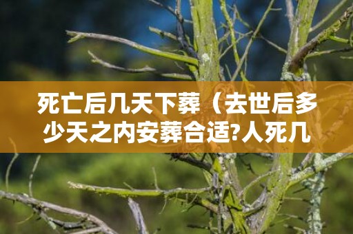 死亡后几天下葬（去世后多少天之内安葬合适?人死几天安葬）