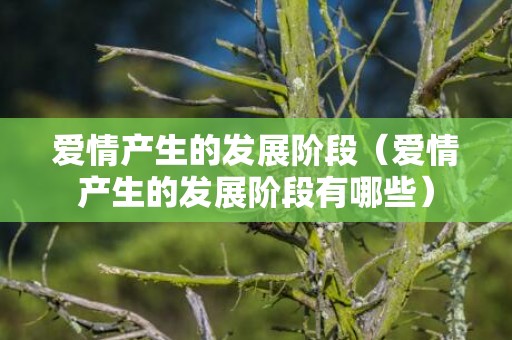 爱情产生的发展阶段（爱情产生的发展阶段有哪些）