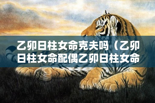 乙卯日柱女命克夫吗（乙卯日柱女命配偶乙卯日柱女命配偶职业）