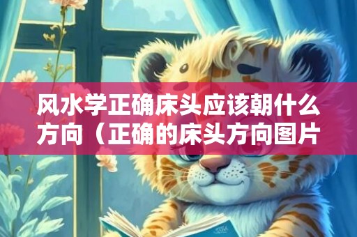 风水学正确床头应该朝什么方向（正确的床头方向图片床头朝向方位图）