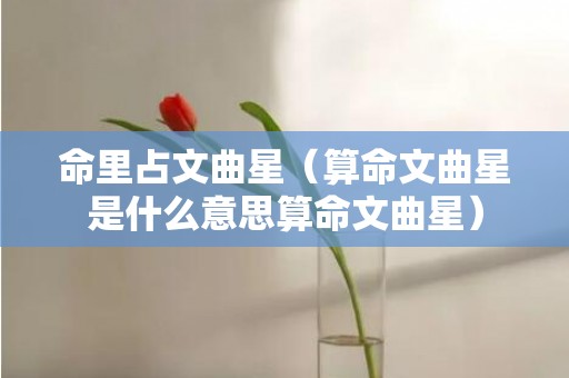 命里占文曲星（算命文曲星是什么意思算命文曲星）