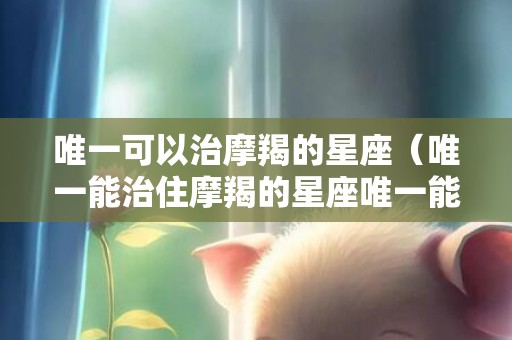 唯一可以治摩羯的星座（唯一能治住摩羯的星座唯一能治住双子的星座）