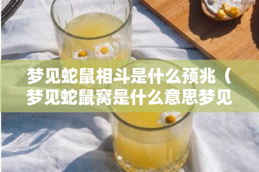 梦见蛇鼠相斗是什么预兆（梦见蛇鼠窝是什么意思梦见蛇鼠一窝）