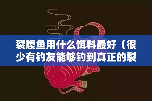 裂腹鱼用什么饵料最好（很少有钓友能够钓到真正的裂腹鱼,有幸钓获了数条真正的裂...）