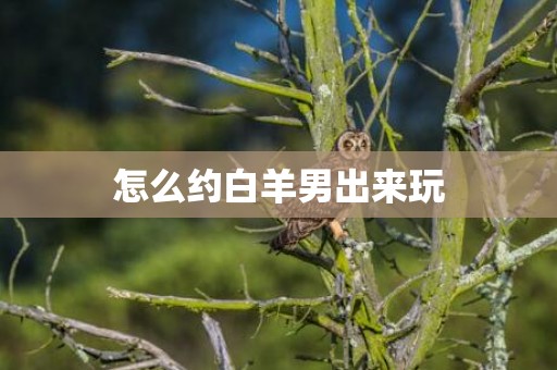怎么约白羊男出来玩