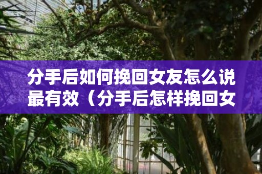 分手后如何挽回女友怎么说最有效（分手后怎样挽回女友）