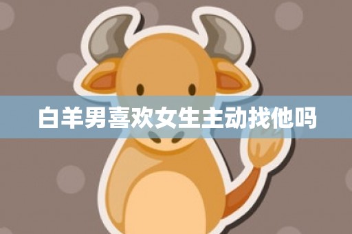 白羊男喜欢女生主动找他吗