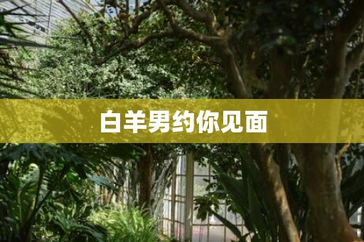 白羊男约你见面