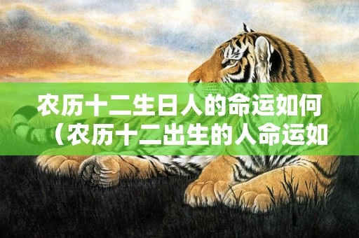 农历十二生日人的命运如何（农历十二出生的人命运如何阴历十二出生的人命运）