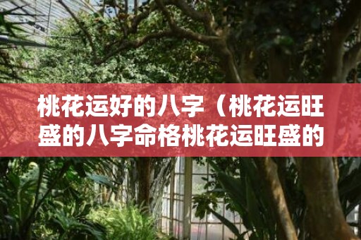 桃花运好的八字（桃花运旺盛的八字命格桃花运旺盛的八字命格如何）