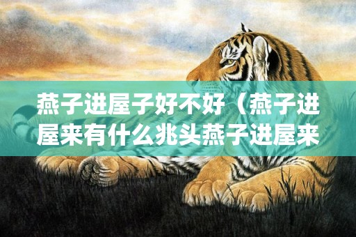 燕子进屋子好不好（燕子进屋来有什么兆头燕子进屋来有什么兆头客厅挂葫芦_卦...）