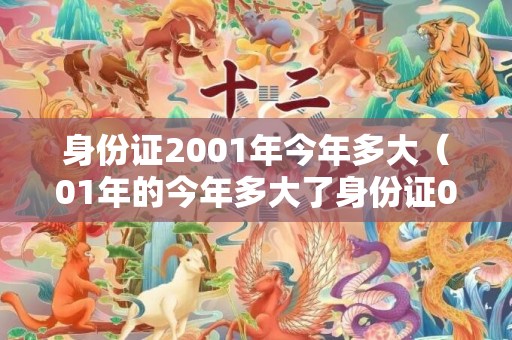 身份证2001年今年多大（01年的今年多大了身份证01年的今年多大了）