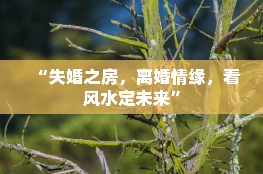 “失婚之房，离婚情缘，看风水定未来”