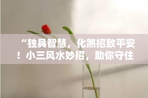 “独具智慧，化煞招致平安！小三风水妙招，助你守住幸福！”